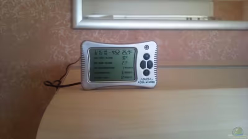 Technik im Aquarium Becken 3408 von Thomas Fricke (8)