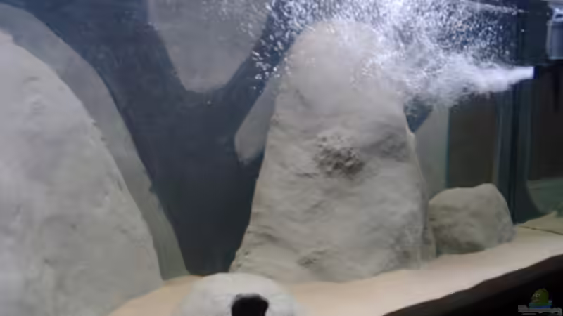 Technik im Aquarium Becken 3411 von Nikki Meier (7)