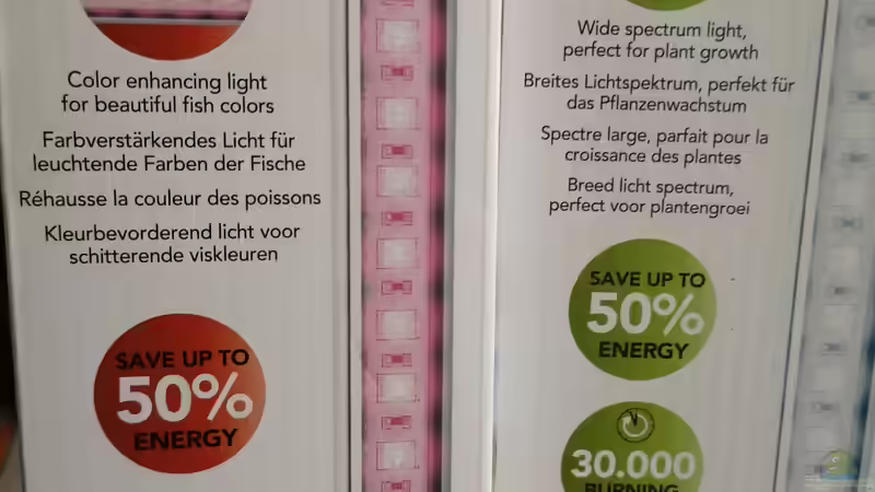 Technik im Aquarium Becken 34170 von Heike Fuchs (21)