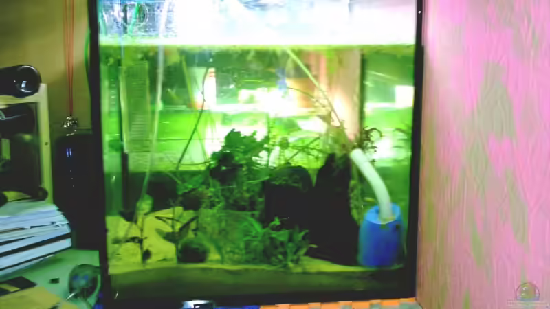 Technik im Aquarium Becken 3421 von Kai Dinkel (3)