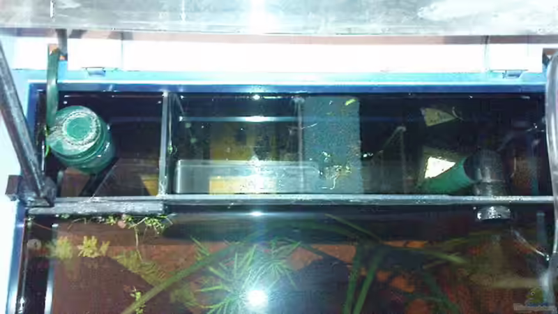 Technik im Aquarium Becken 3434 von Jens Hug (10)