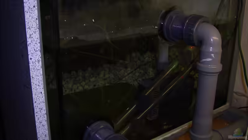 Technik im Aquarium Becken 346 von Stephan Dahlmanns (7)