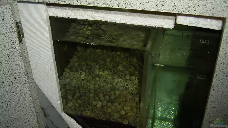 Technik im Aquarium Becken 346 von Stephan Dahlmanns (8)