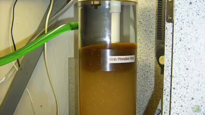 Technik im Aquarium Becken 346 von Stephan Dahlmanns (9)