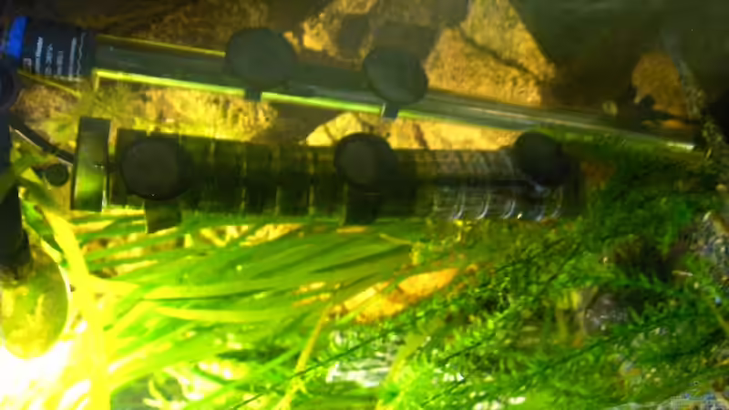 Technik im Aquarium Becken 3477 von Guido Lauck (7)