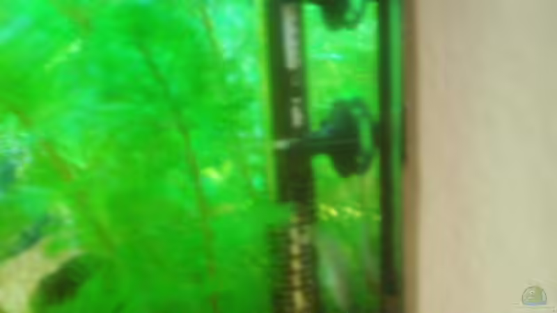 Technik im Aquarium Becken 3495 von Tobias Peters (15)