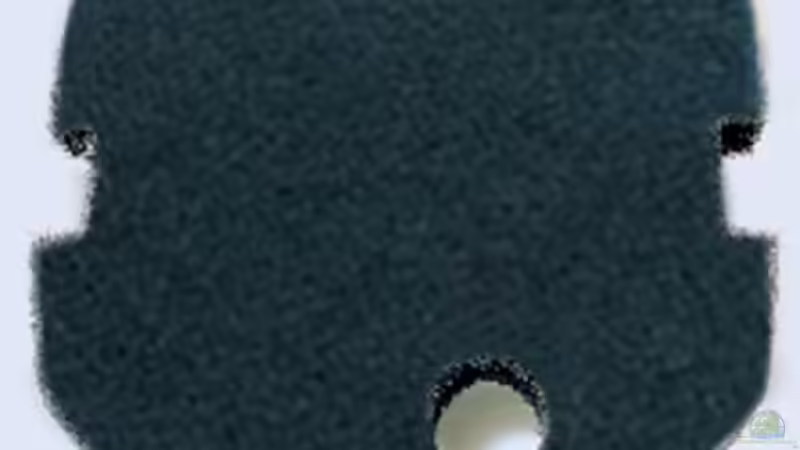 Technik im Aquarium Becken 3510 von Oliver Kemna (17)