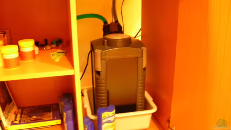 Technik im Aquarium Becken 3526 von Burgherr (13)