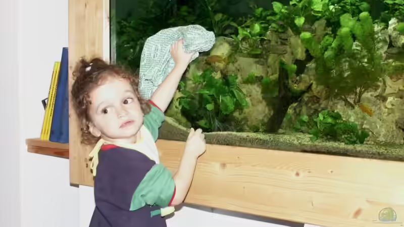 Technik im Aquarium Becken 356 von Markus S. Sorgatz (3)