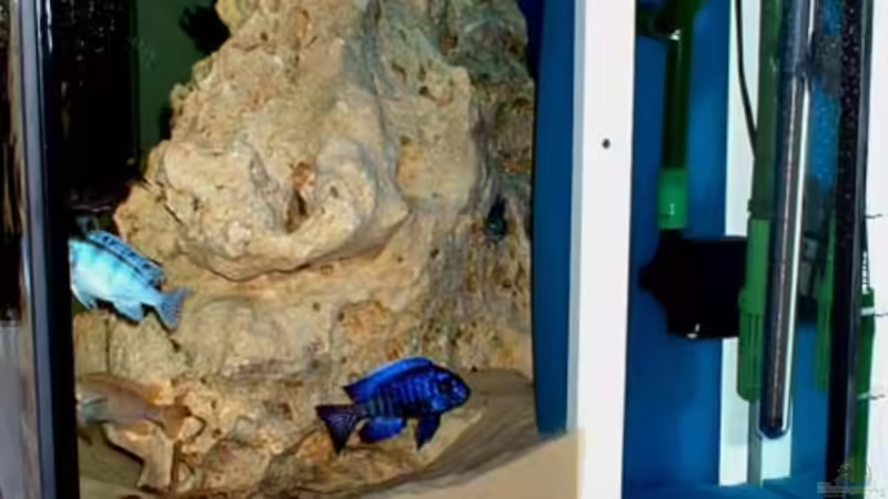 Technik im Aquarium Becken 362 von Lutz Rall (6)