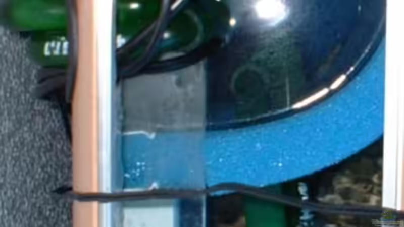 Technik im Aquarium Becken 362 von Lutz Rall (7)