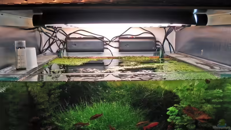 Technik im Aquarium Becken 3630 von Seifert Daniel (8)