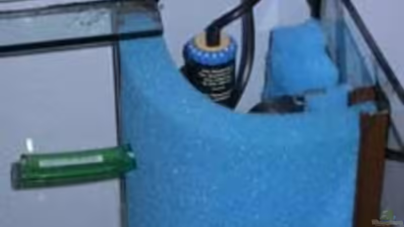 Technik im Aquarium Becken 3636 von Joana Black (3)