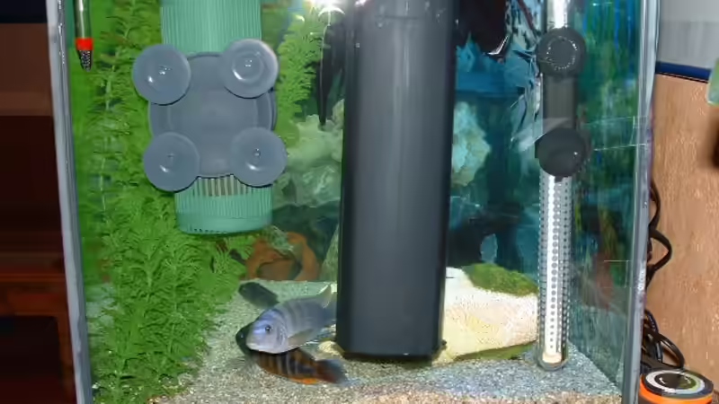 Technik im Aquarium Becken 3663 von Sascha Keltz (9)