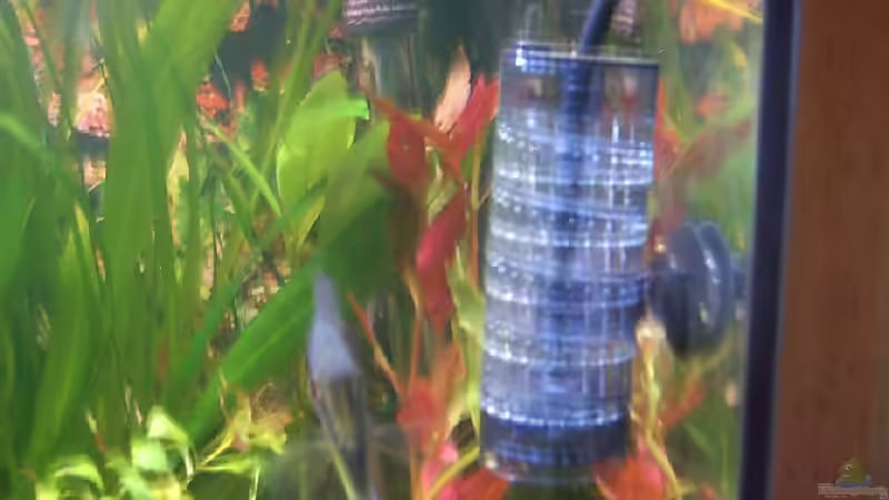 Technik im Aquarium Becken 3690 von Melanie Arnold (19)