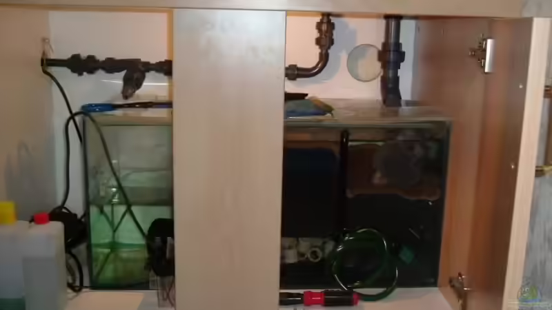 Technik im Aquarium Becken 3714 von phyvf (12)