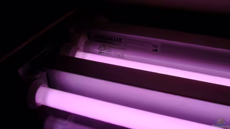 Technik im Aquarium Becken 3764 von Oliver Jaguczak (10)