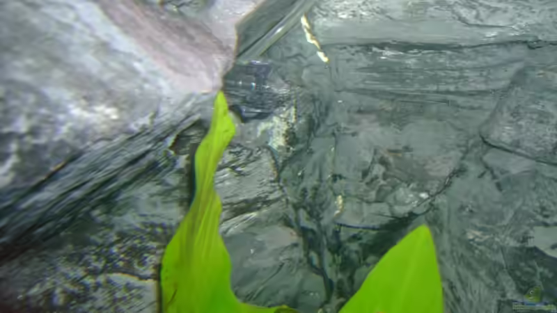 Technik im Aquarium Becken 3764 von Oliver Jaguczak (9)