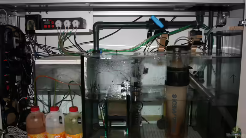 Technik im Aquarium Becken 37762 von Susanne Axt (12)