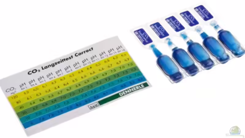 Technik im Aquarium Becken 37845 von Bärli (5)