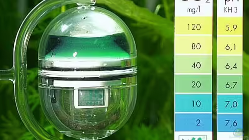 Technik im Aquarium Becken 37845 von Bärli (6)