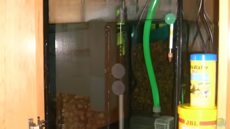 Technik im Aquarium Becken 3893 von Thomas Pirner (25)