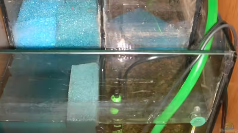 Technik im Aquarium Becken 3893 von Thomas Pirner (26)