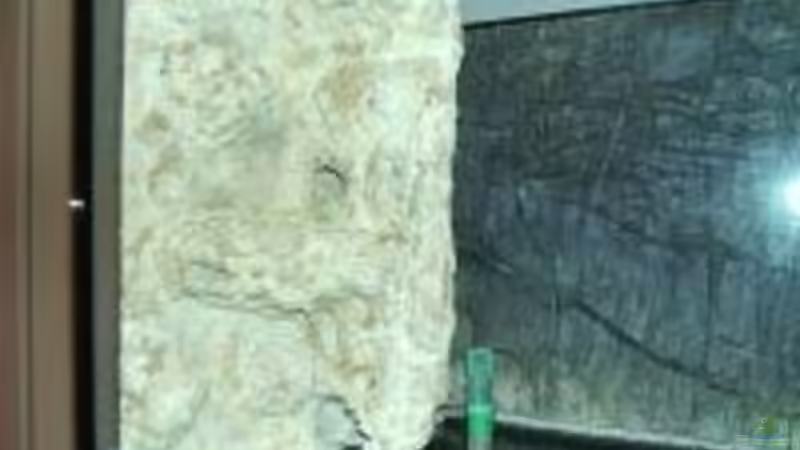 Technik im Aquarium Becken 396 von Thomas Biewald (10)