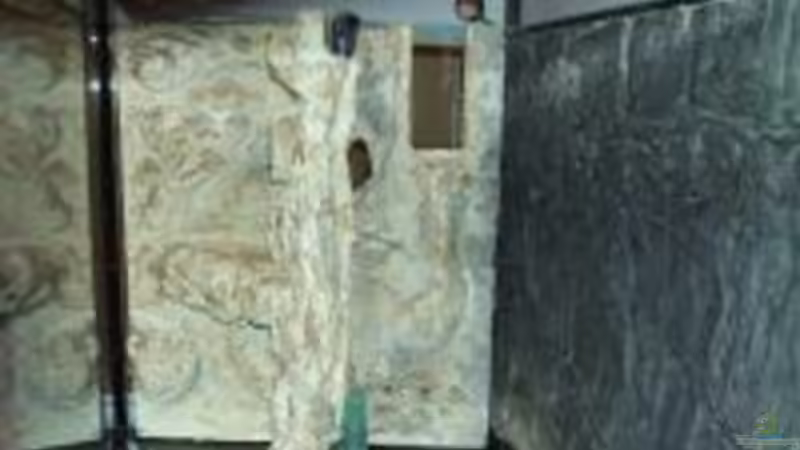 Technik im Aquarium Becken 396 von Thomas Biewald (11)