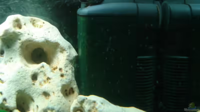 Technik im Aquarium Becken 4046 von Stefan Schweinhardt (6)