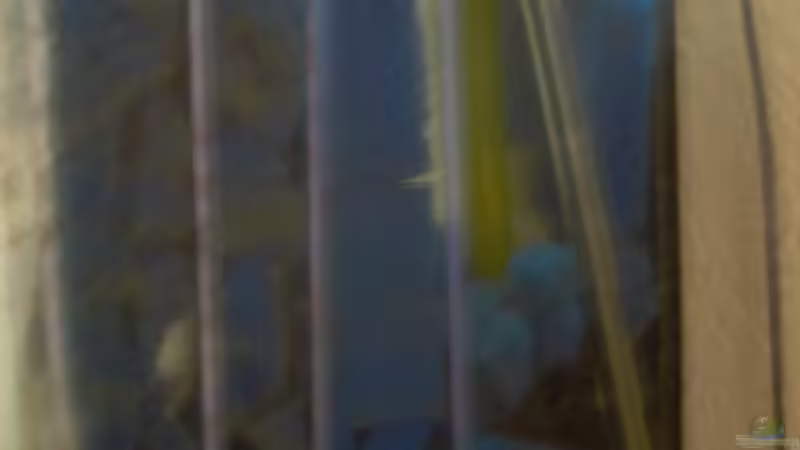 Technik im Aquarium Becken 4080 von Leif Mahlerwein (3)