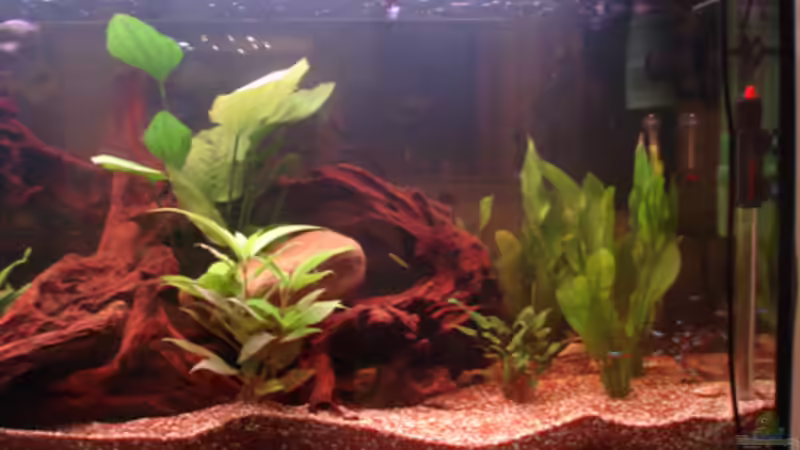 Technik im Aquarium Becken 4136 von Christian Santner (3)