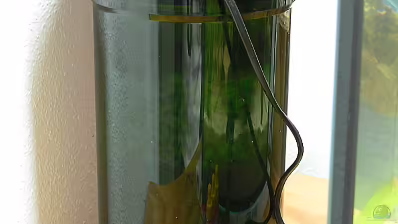 Technik im Aquarium Becken 4151 von Christian Klar (15)