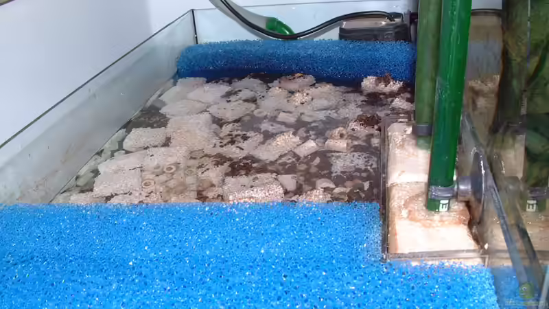 Technik im Aquarium Becken 425 von Josef Schwarz (6)