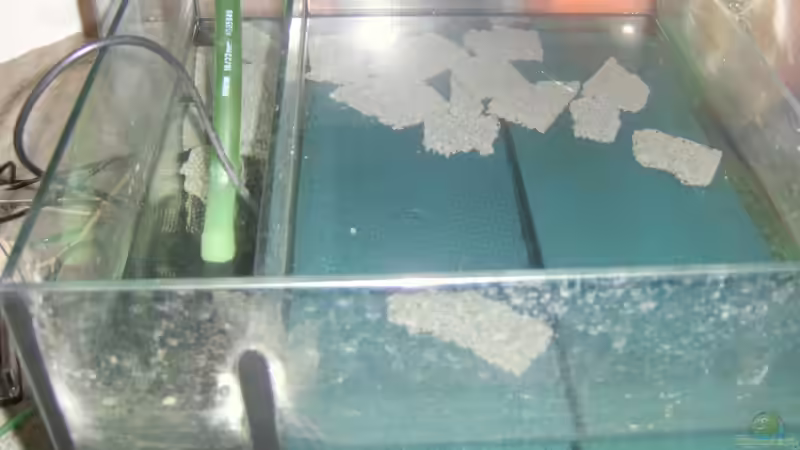 Technik im Aquarium Becken 4285 von Jens Schneider (9)