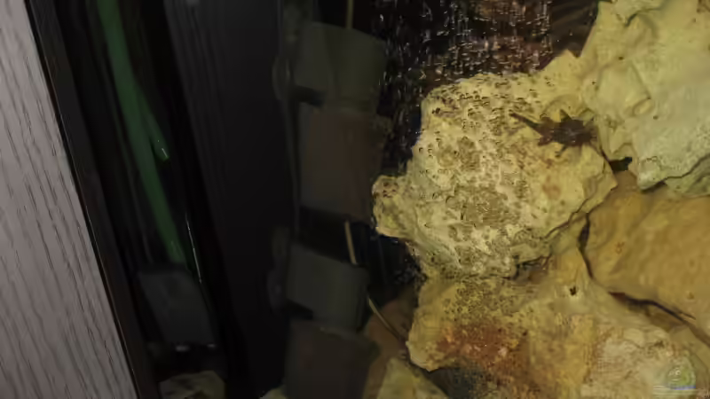 Technik im Aquarium Becken 4295 von NochEinChris (6)