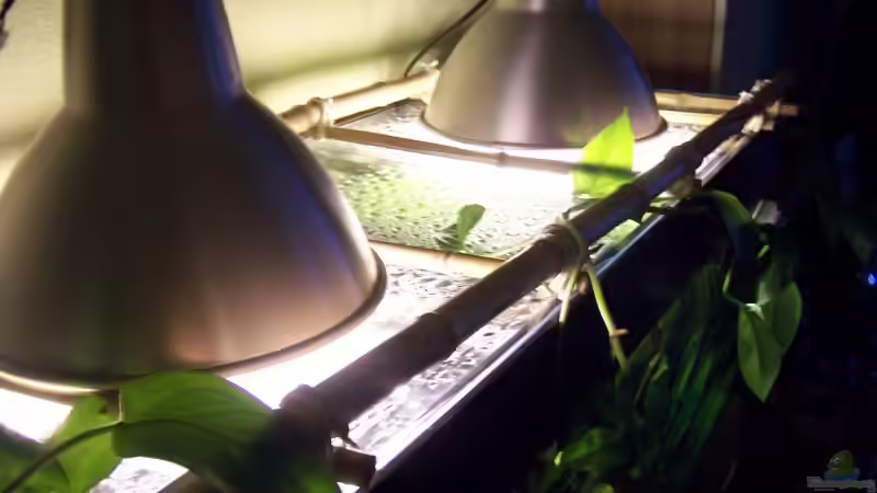 Technik im Aquarium Becken 4345 von Markus Dinter (4)