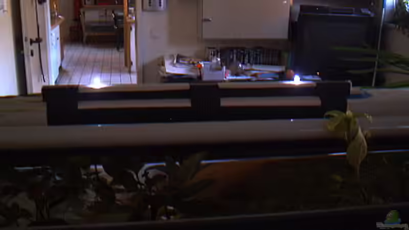 Technik im Aquarium Becken 438 von Manfred Herget (6)