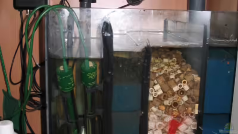 Technik im Aquarium Becken 4383 von Rolf Meyer (4)