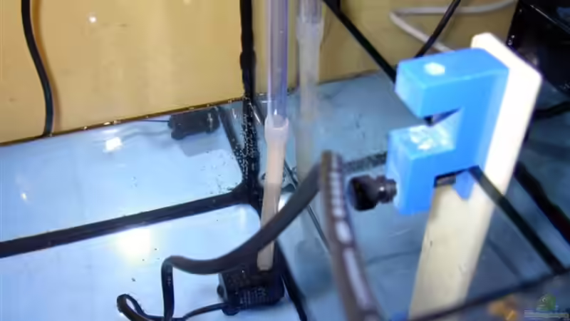 Technik im Aquarium Becken 4394 von Torben Alsmeyer (14)