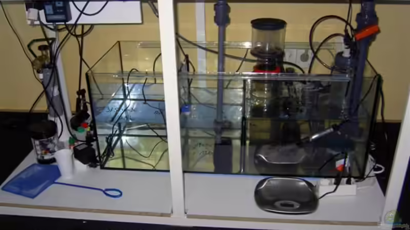 Technik im Aquarium Becken 4394 von Torben Alsmeyer (15)