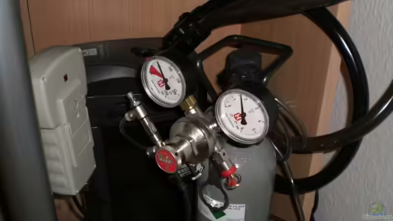 Technik im Aquarium Becken 4396 von Jockwer Rene´ (28)