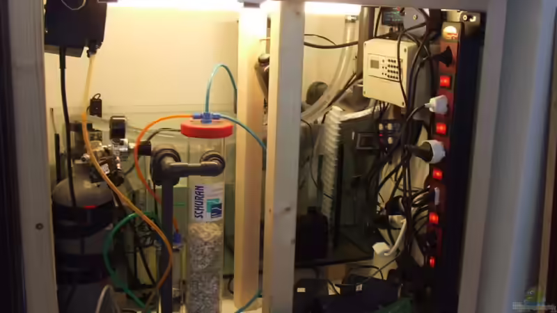 Technik im Aquarium Becken 4431 von Sascha Bill (14)