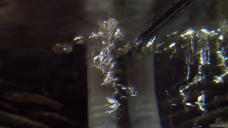 Technik im Aquarium Becken 4437 von Markus Smak (11)