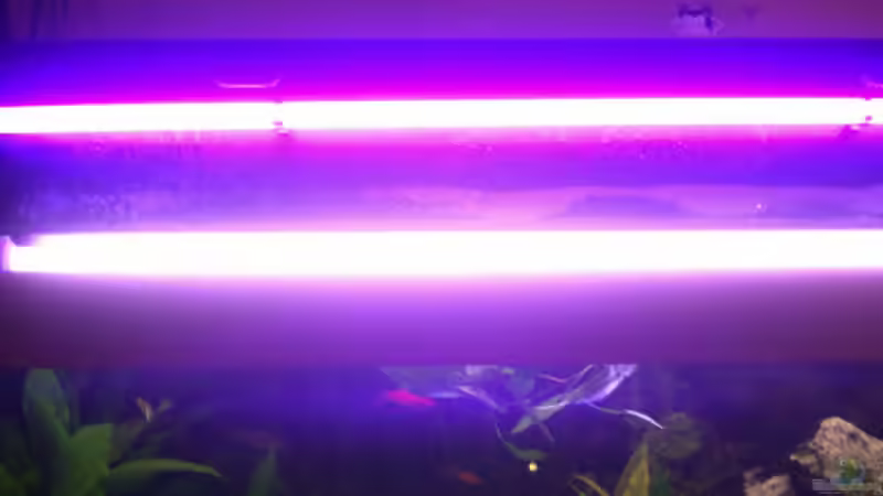 Technik im Aquarium Becken 4457 von Daniela Daum (18)