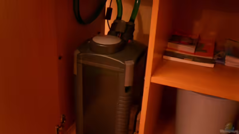 Technik im Aquarium Becken 446 von Mario Gerber (10)