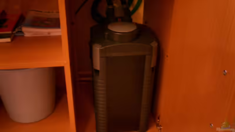 Technik im Aquarium Becken 446 von Mario Gerber (11)