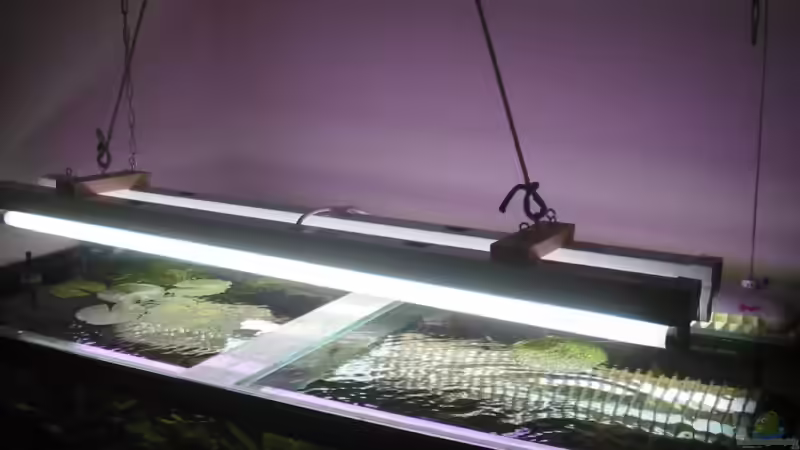 Technik im Aquarium Becken 4502 von Markus Fuchs (19)