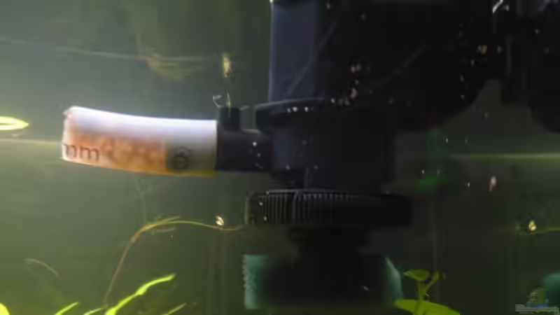 Technik im Aquarium Becken 4502 von Markus Fuchs (20)