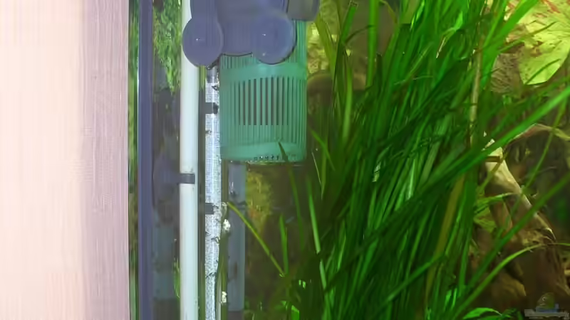 Technik im Aquarium Becken 4641 von Stefan Andres (9)